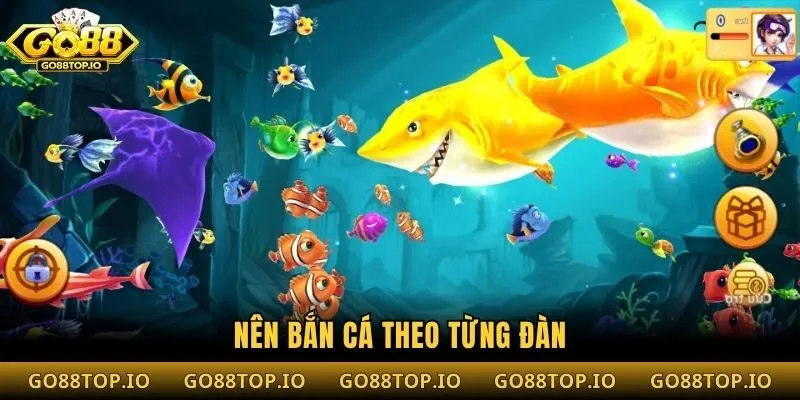 Nên bắn cá theo từng đàn