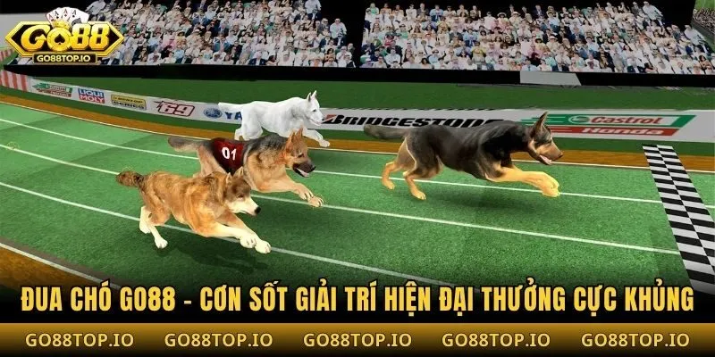 Đua Chó Go88 - Cơn Sốt Giải Trí Hiện Đại Thưởng Cực Khủng