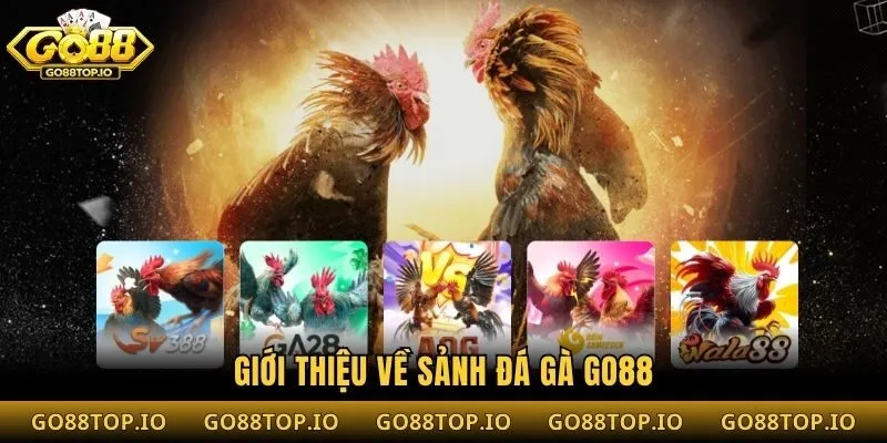Giới thiệu về sảnh đá gà Go88