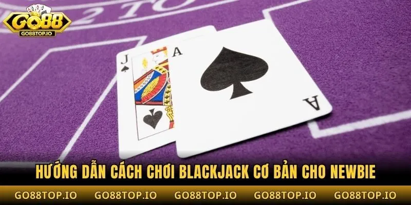 Hướng dẫn cách chơi blackjack cơ bản cho newbie