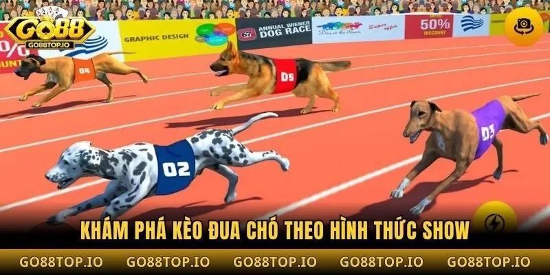 Khám phá kèo đua chó theo hình thức Show