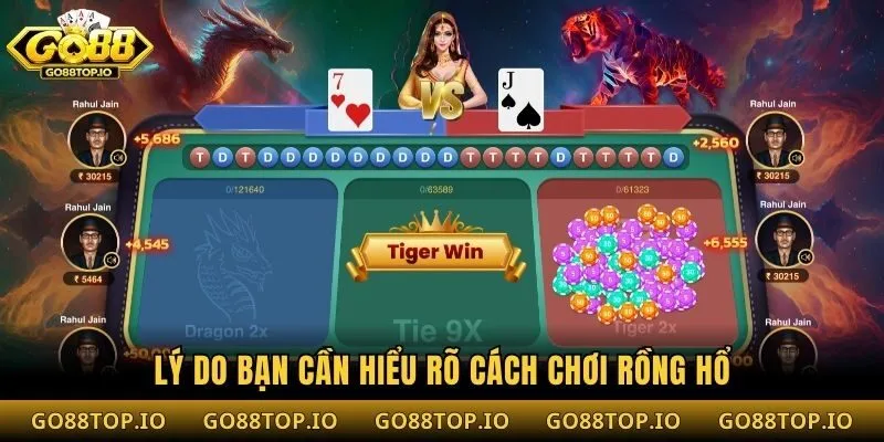 Lý do bạn cần hiểu rõ cách chơi rồng hổ