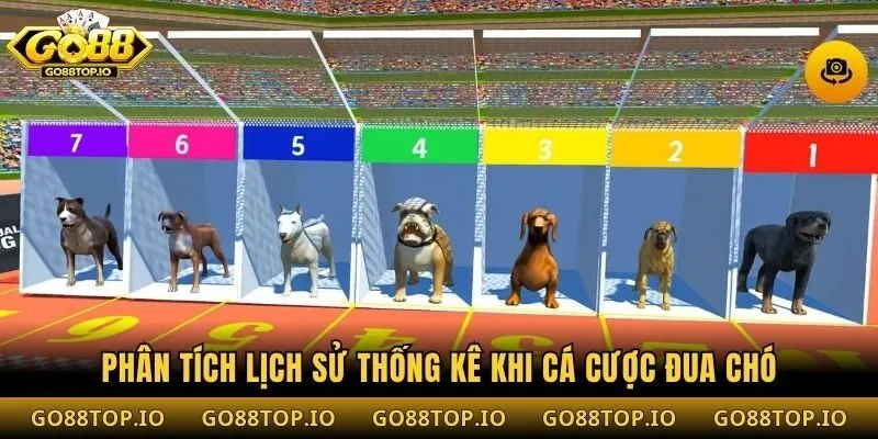 Phân tích lịch sử thống kê khi cá cược đua chó
